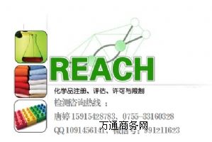 REACH�J�C- REACH�J�C���V�| ���ڣ�