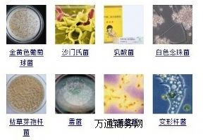 ������/���c�U��,��ɫ�������,�������ԇ�