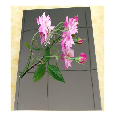 �S�ҹ���(y��ng) 8k�R�治�P� �R��12k���P䓎�