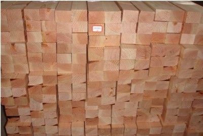 ������/ �����Sɼ���