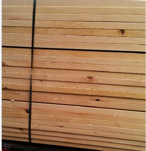 �W�޳��ɰ��