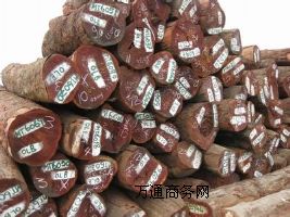 ̫�}�tľ�M�ڈ��P����