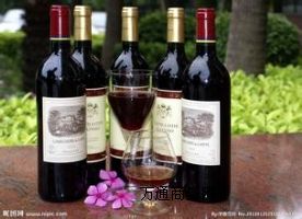 ��ɽ�t���M�ڈ��P(gu��n)����