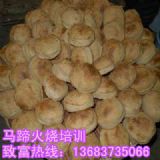 ɽ�|�R������Ӗ���ČW�R�������X