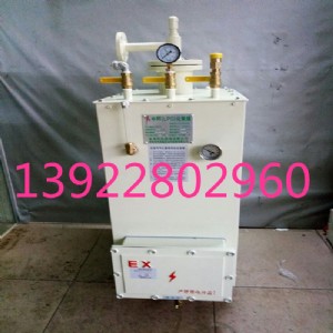 �а�30����늟�ʽ�����������t