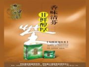 �����g���{�����B����