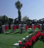 ���K���е��l���ƏS�� ���l ��݁�l