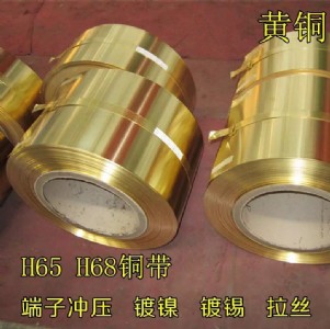 ��������h65�S�~�� �V���S�~���̓r�N��