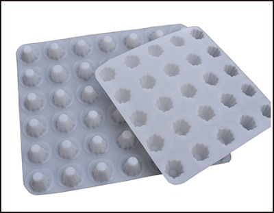 �(j��ng)���N��250g������ ���ݷNֲ��������ˮ��