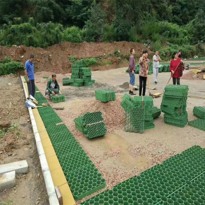 �L��pe�K��߿���ֲ�ݸ�50��ֲ�ݴu