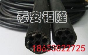 ��ͨ���ϲ�ɫ���ܶ�о�V�ý�������