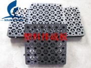 �ӱ��@�ַNֲ��ˮ�������ˮ��