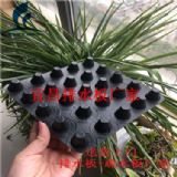 �˲�����܇����ˮ��o��������