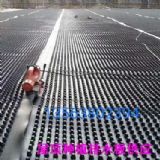 �Ϻ���픷Nֲ��ˮ������ˮ�幩��(y��ng)