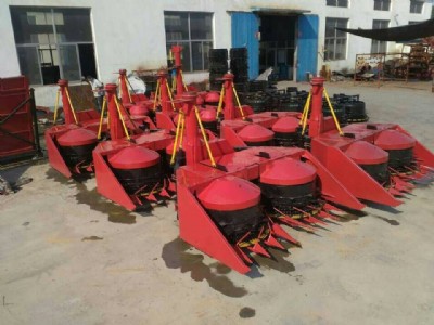 ��������ո�C ��r