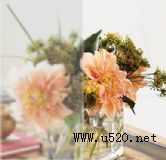 ����TBS-312���ٳ�����ƽ�岣����ɰ��(�D)