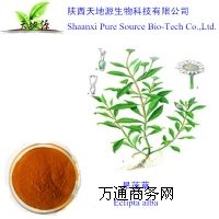 �S�ҬF؛����ī��ɏ����ȡ��