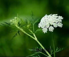 ������Դ����(y��ng)���|(zh��)���ߴ�����ȡ��