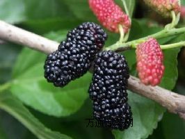 �F(xi��n)؛����(y��ng)����Ȼɣ����ȡ�ɣ�ط�