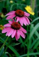 ������Դ����F؛�������F����ȡ��