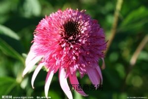 �ṩ���|4%�����4%���������F����ȡ��