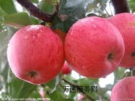 �����O�����ۣ��S�ҬF؛