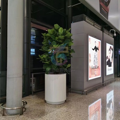 ����G�����̲��P䓻���_�V�����P䓻���S�Ҷ���