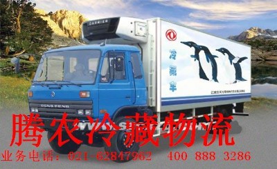 26������\ݔ   �v�r����    ���|  ��Ч  �Ϻ����