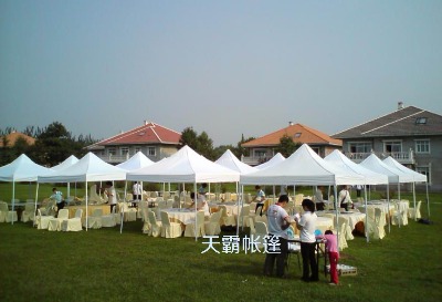 ��Ԏ����������ÏV�掤��