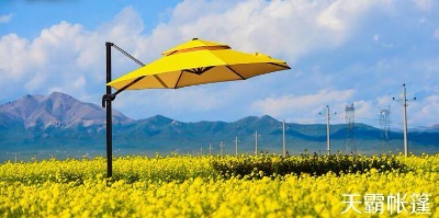 �Ҷ�����ꖂ㣬��Ԍ����S�ҽ�؛��