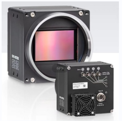 svs���Chr25mcx