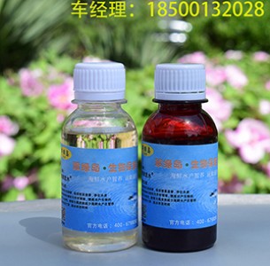 �~���x������֮�����ڴ�