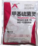 70%�׻�����`-���׼���