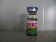 ����-�y�ݲ���������Чˎ�����h��+���r����