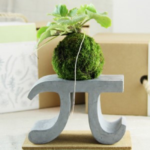 ������ˮ��������Ʒ