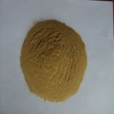 �������|�����������׷�