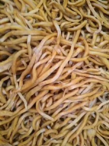 ǧ�~�S��z��ԭ�� �u��ǧ�~���ɸ�q��