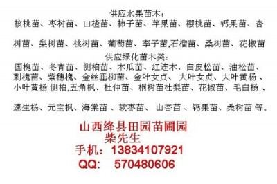 8���֙��Ҙ�-9���֙��Ҙ�-10���֙��Ҙ�