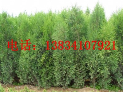 2�ׂȰ�-3�ׂȰ�-2��5�Ȱ�-3�ׂȰ؃r��