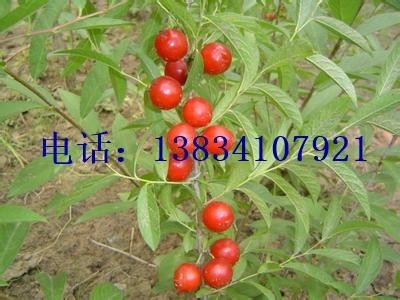 �}����-�������}����-�}�������