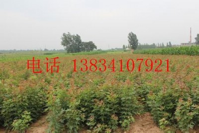 2������Ǘ�����-3������Ǘ�����