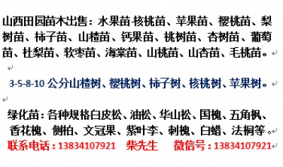 2���ְ�Ϟ����-3���ְ�Ϟ��-��Ϟ�r��