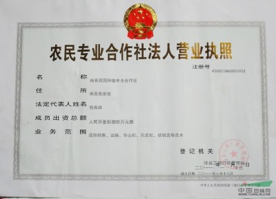 ������-ĵ����-ĵ����r��-ɽ��ĵ����