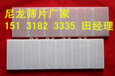 �����YƬ �߷��ӺYƬ