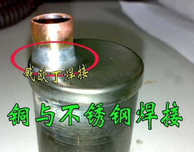 ���W��46�͜��F���~�c���P� �~�c�F