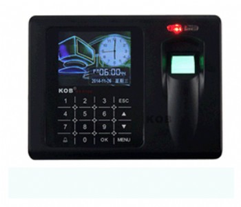 ����T������ϵ�y