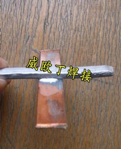 ����(y��ng)���W��51�͜��~�X���z��κ����~�X��