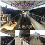 2015���B�Hٍ�X�᣿����ʡ�B�H��