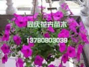 ��ţ�Ј������YӍ������ហ�ţ����