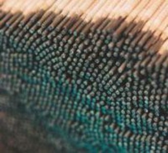 zd6��ĥ���lzd6�Ѻ����l